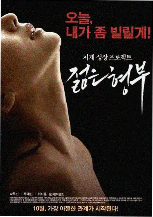 青囊书古装医案剧集封面