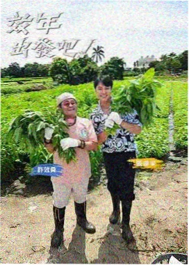 坐堂职业观察节目封面